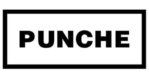 Punche DFI Consultores